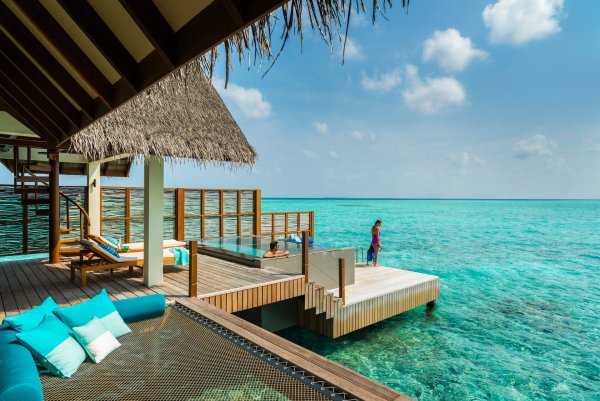 Фуши взрослый