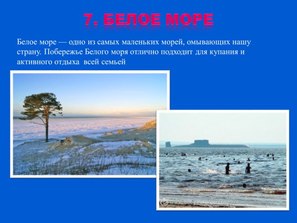 Белое море презентация