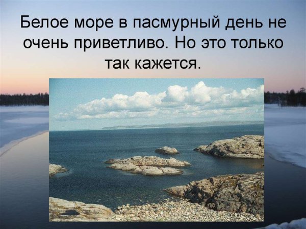 Проект белое море