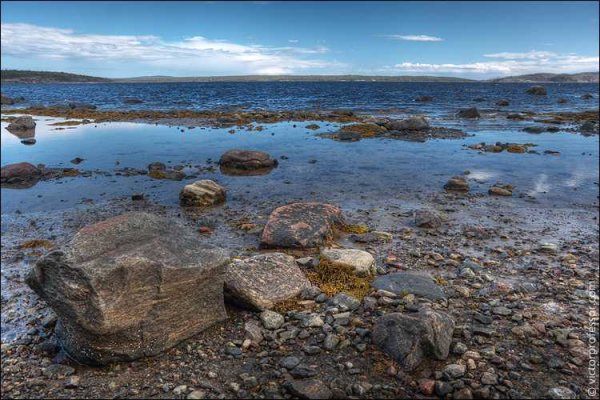 Белое море Мурманская область