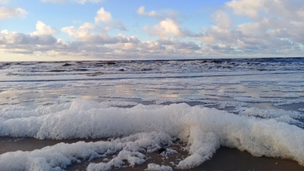 Белое море соленое