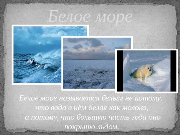 Белое море интересные факты