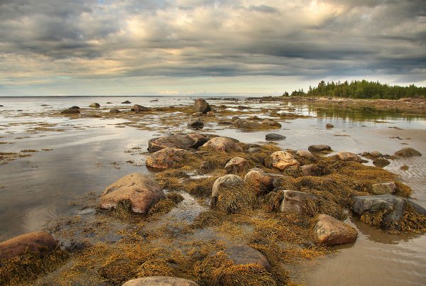 Белое море Беломорск
