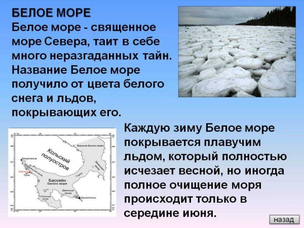 Факты о белом море