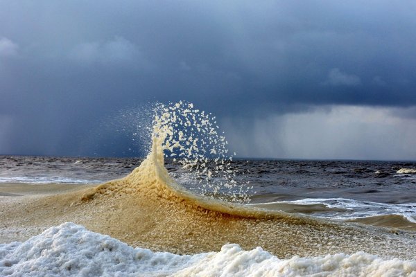 Белое море океан