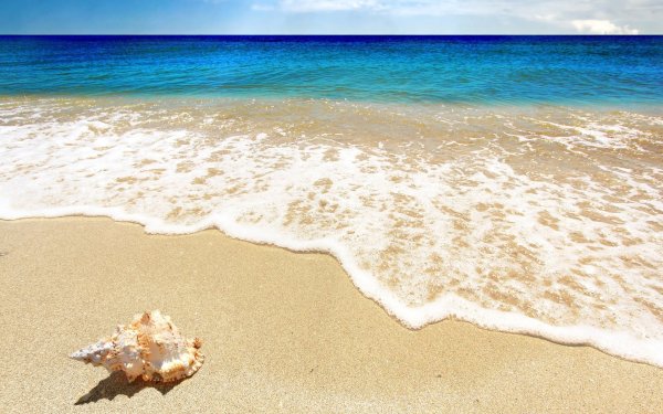 Фотообои на стену «шум моря» Komar 8-983 Seaside