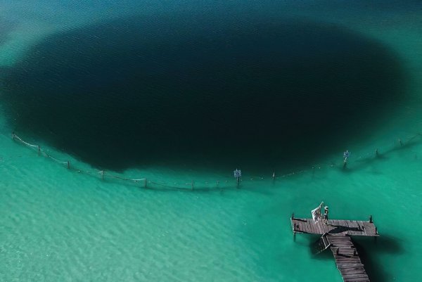 Стефан Коидл картины