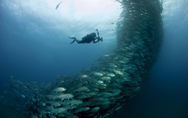 Монстр глубины 2018