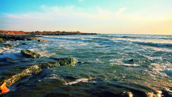 Западный Казахстан Каспийское море