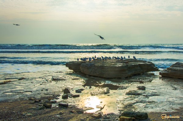 Каспийское море озеро