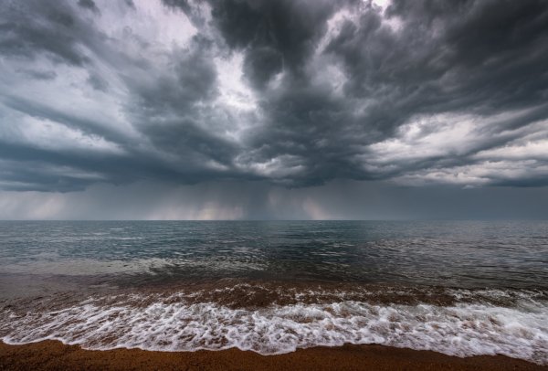 Художник Сергей Стоев морской Прибой
