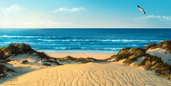 Берег моря панорама