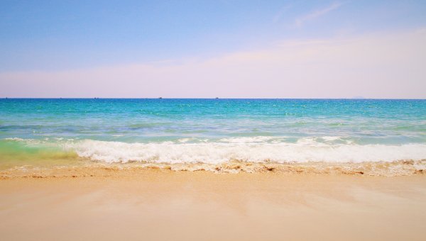 Море пальмы и песок