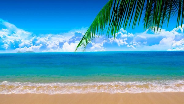 Песчаный берег моря