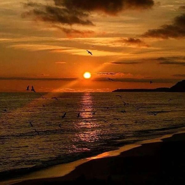 Охотское море рассвет