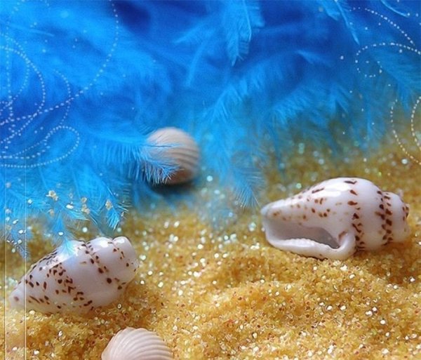 Морское дно с ракушками