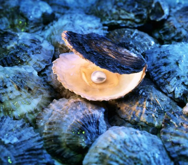 Жемчуг в ракушке