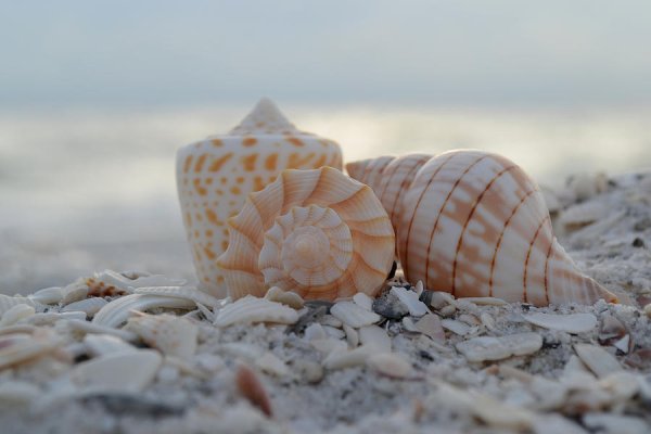 Морское дно камни