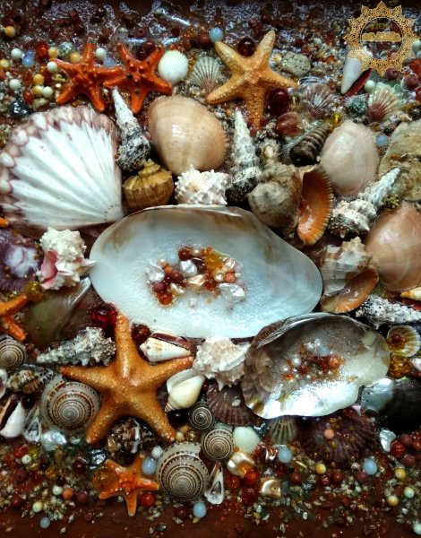 Подводный мир ракушки