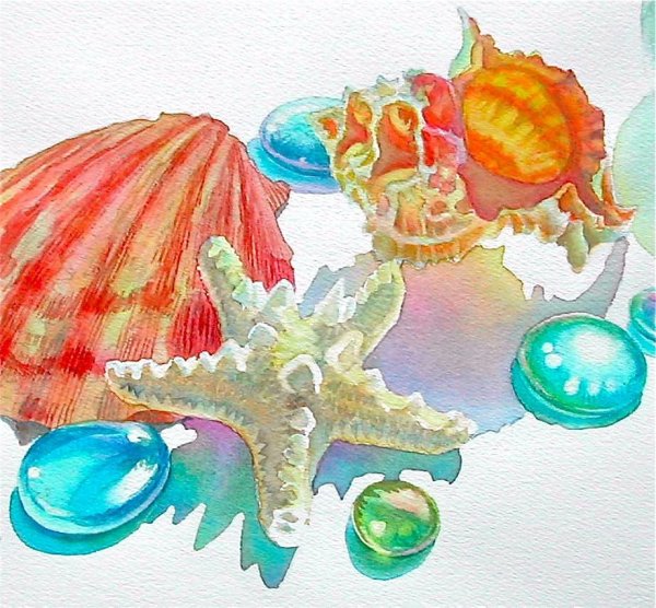 Море ракушки