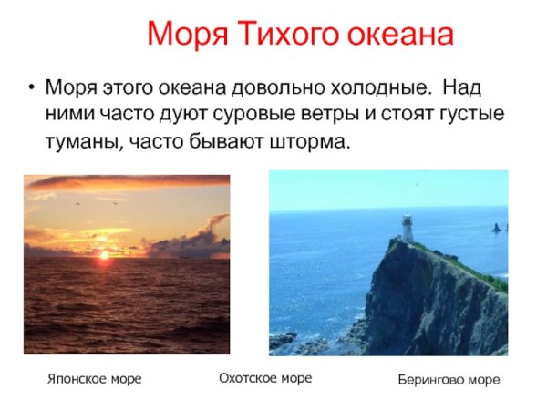 Моря Тихого океана