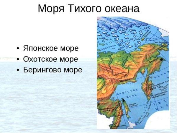 Моря Тихого океана