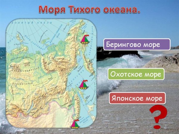 Моря Тихого моря Тихого океана