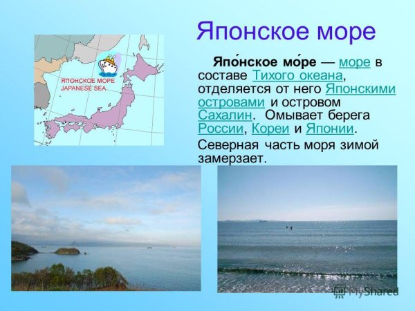 Японское море презентация