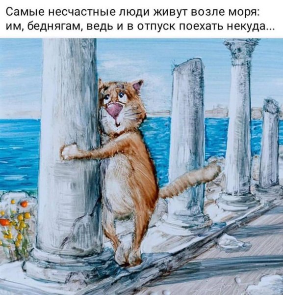 Коты умеют плавать