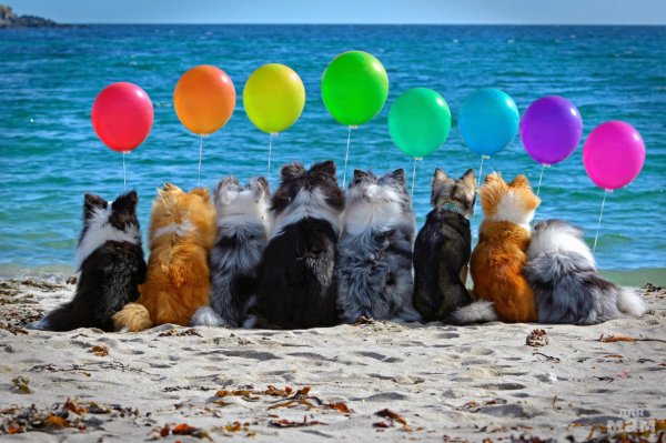 Не хочу на море