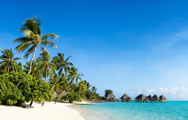 Парадиз остров Карибского моря