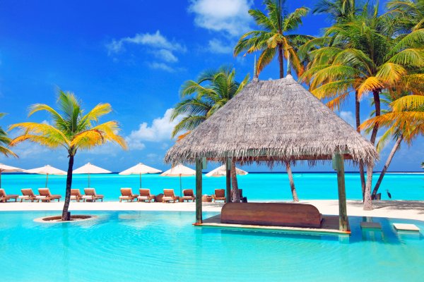 Пальма с лежаком