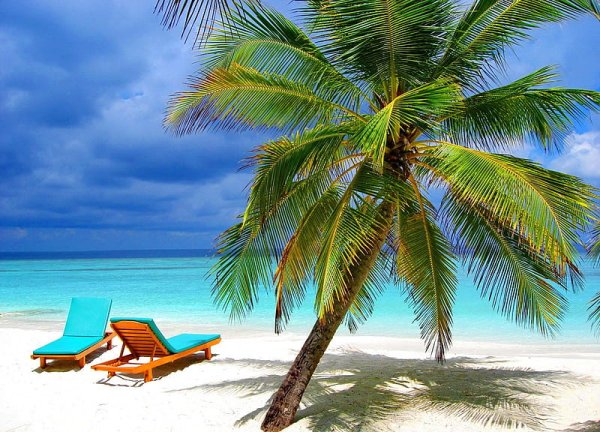 Сейшелы море