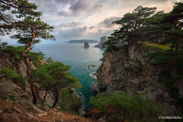 Дальневосточный морской заповедник Приморский край природа