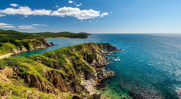 Морской заповедник Дальневосточный Владивосток
