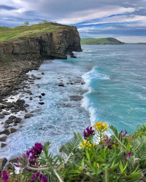 Остров русский Владивосток