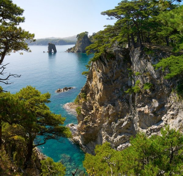 Дальневосточный морской биосферный заповедник