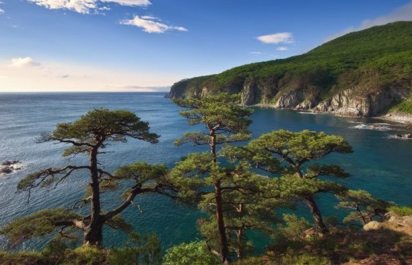 Дальневосточный морской заповедник Приморский край