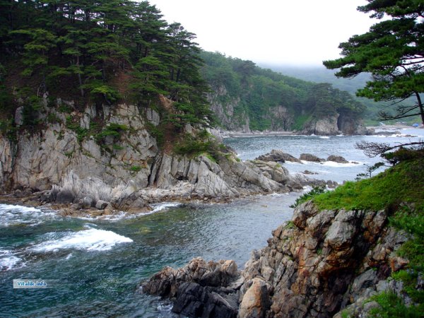 Тайга море Приморского края