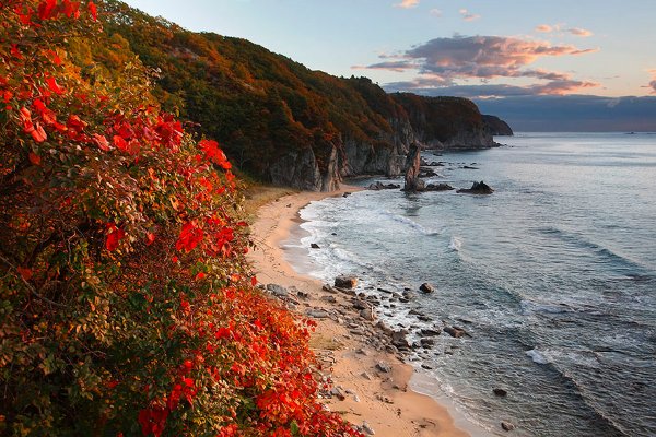 Лазовский (Судзухинский) заповедник