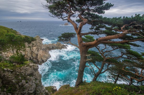 Дальневосточный морской заповедник Приморский край природа