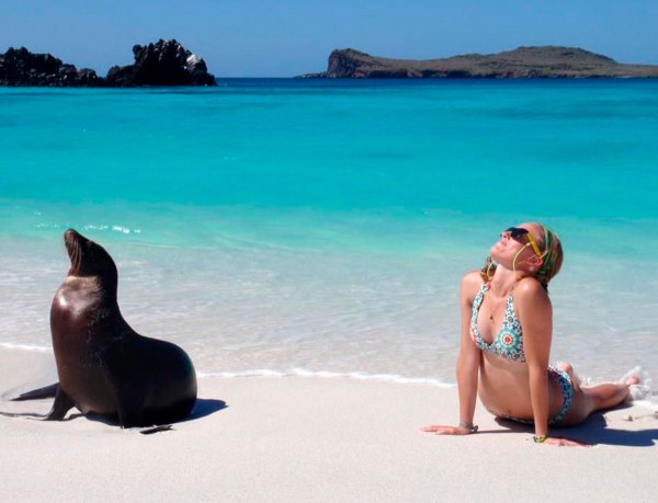 Евгения Гапчинская картины море