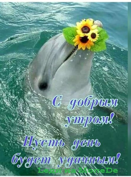 Отличного дня море