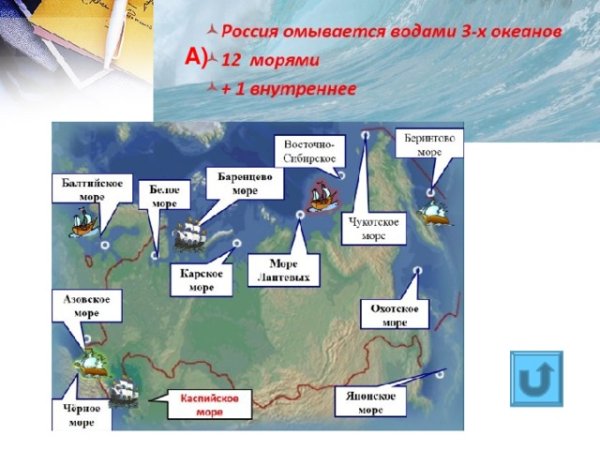 Моря которые омывают европейскую часть России
