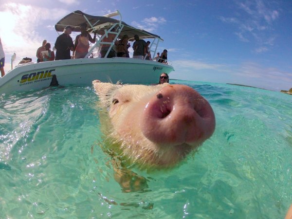 Эксума Багамы