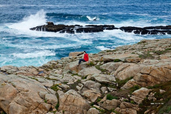 Пиратка Морган