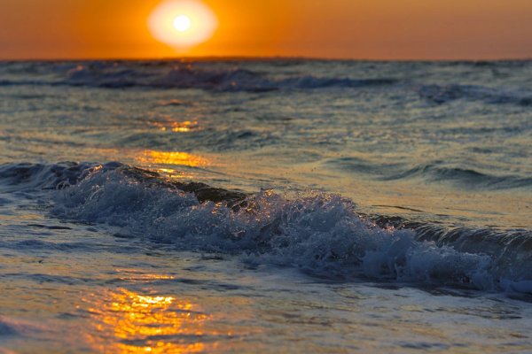 Теплое море