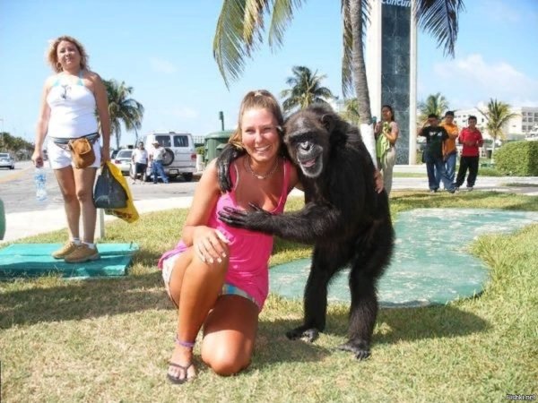 Обезьяна девочка