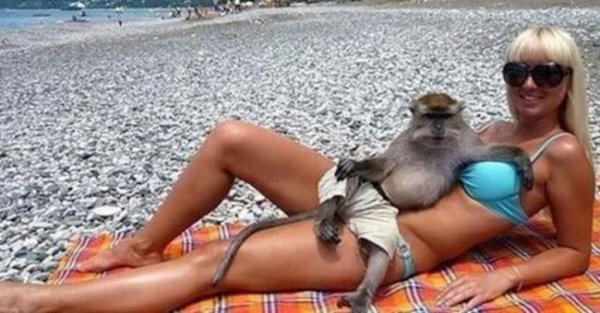Обезьяна с девушкой на пляже