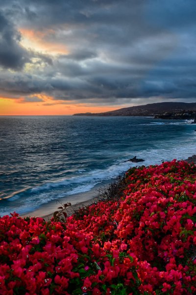 Красота на берегу моря